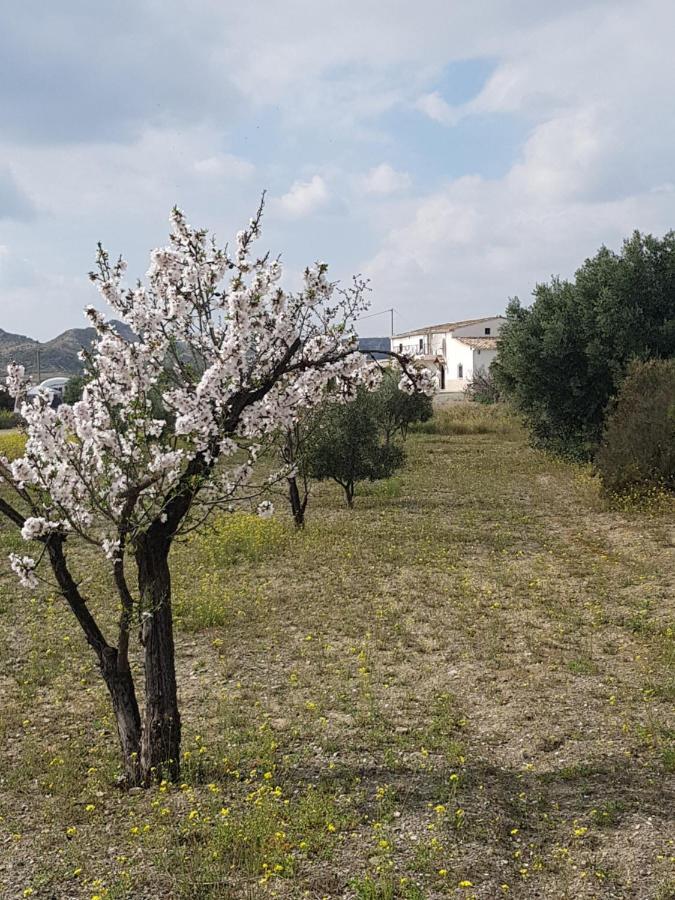韦尔卡尔-奥韦拉Cortijo Esperanza住宿加早餐旅馆 外观 照片