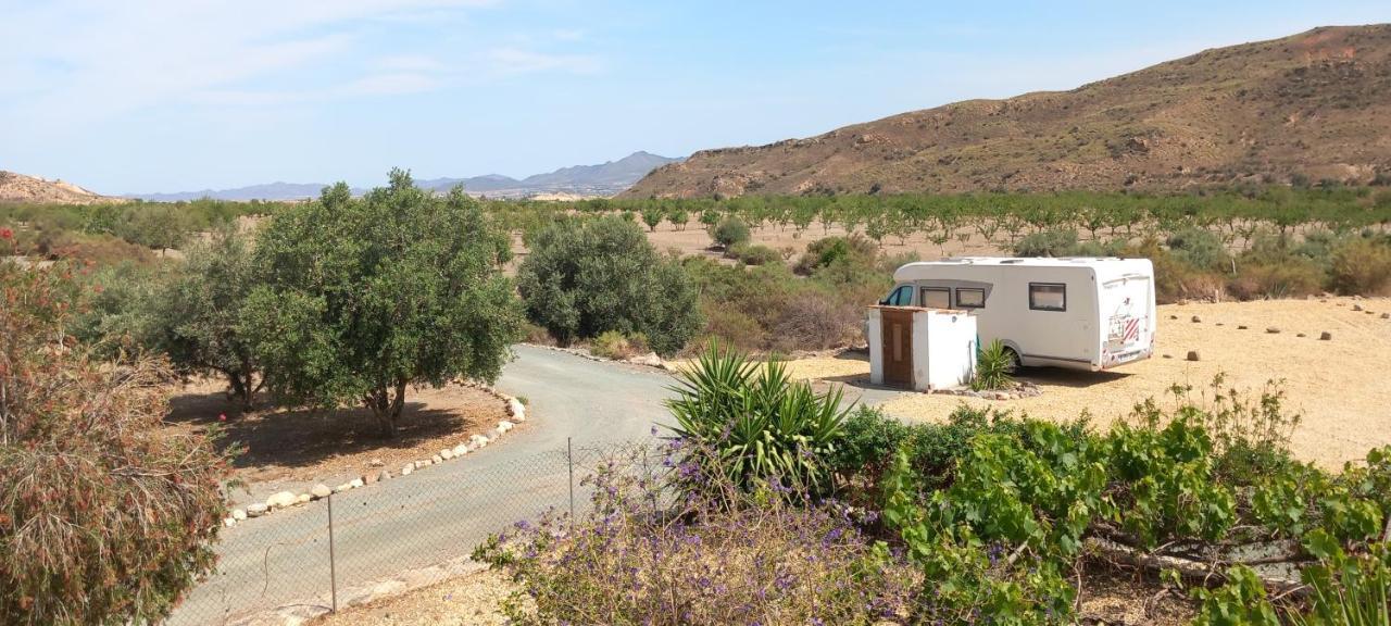 韦尔卡尔-奥韦拉Cortijo Esperanza住宿加早餐旅馆 外观 照片